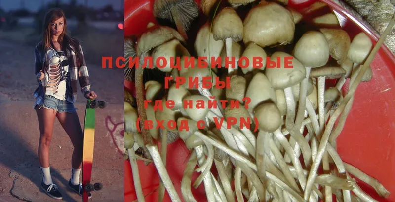 Галлюциногенные грибы MAGIC MUSHROOMS  Батайск 